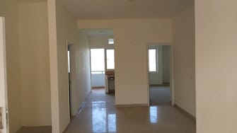 3 BHK Builder Floor For Resale in Nakodar Road Jalandhar  7516066