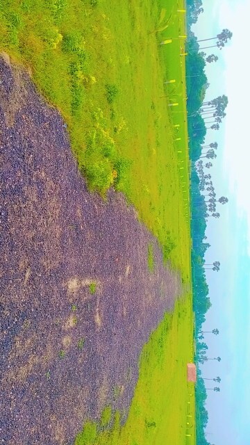  Plot – Exterior View View at Bihta - for Sale