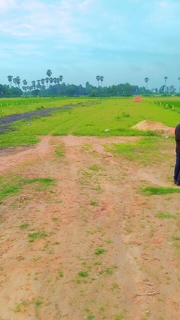  Plot – Exterior View View at Bihta - for Sale