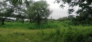 Plot Area in  Land at Bhopal Airport – for Sale