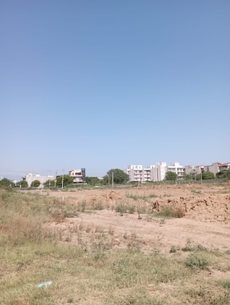 Plot For Resale in Sector 123 Mohali  7516563