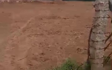 Land For Sale in Golden Farm City, Shamirpet
