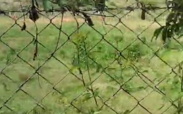 Land For Sale in SL Temple Town, Keesara