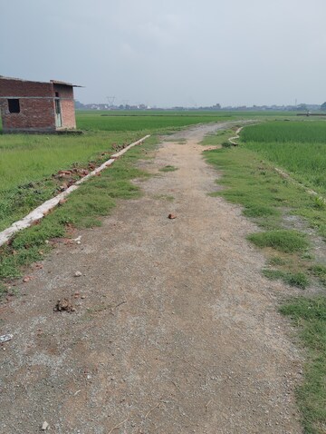Plot Area in  Plot at Ramnagar – for Sale