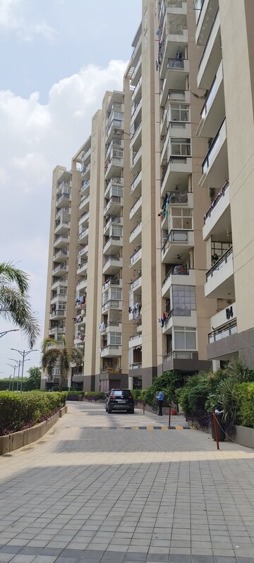 3 BHK Apartment For Sale in Tulip Violet, Sector 69