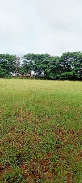 Plot For Resale in Prajay Homes Shamirpet Hyderabad  7517452