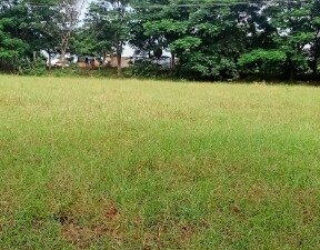 Plot For Sale in Prajay Homes, Shamirpet