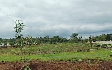 Plot For Sale in Budhera