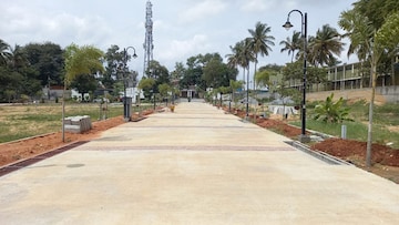 Plot For Resale in Hoskote Malur Road Bangalore  7517802