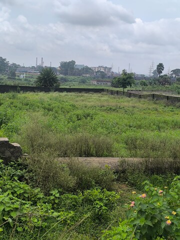 Plot For Resale in Gamharia Jamshedpur  7517850