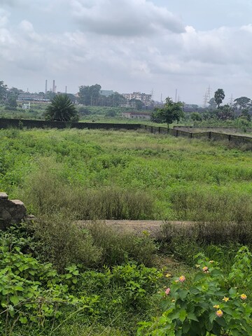 Plot Area in  Plot at Gamharia – for Sale