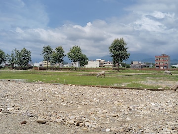 Plot For Resale in Preet Vihar Dehradun  7517954