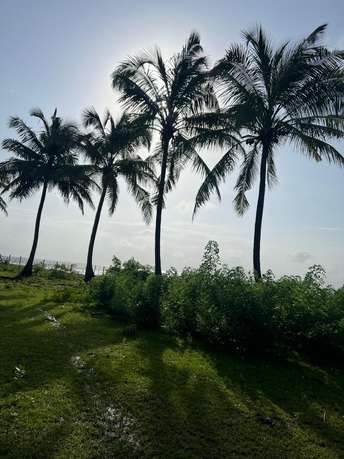 रेसिडेंशियल प्लॉट वर्ग यार्ड फॉर रीसेल इन मकरबा अहमदाबाद  7518129