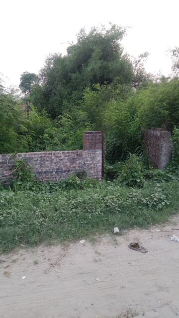 Plot For Resale in Jeevan Nagar Sonipat  7518383