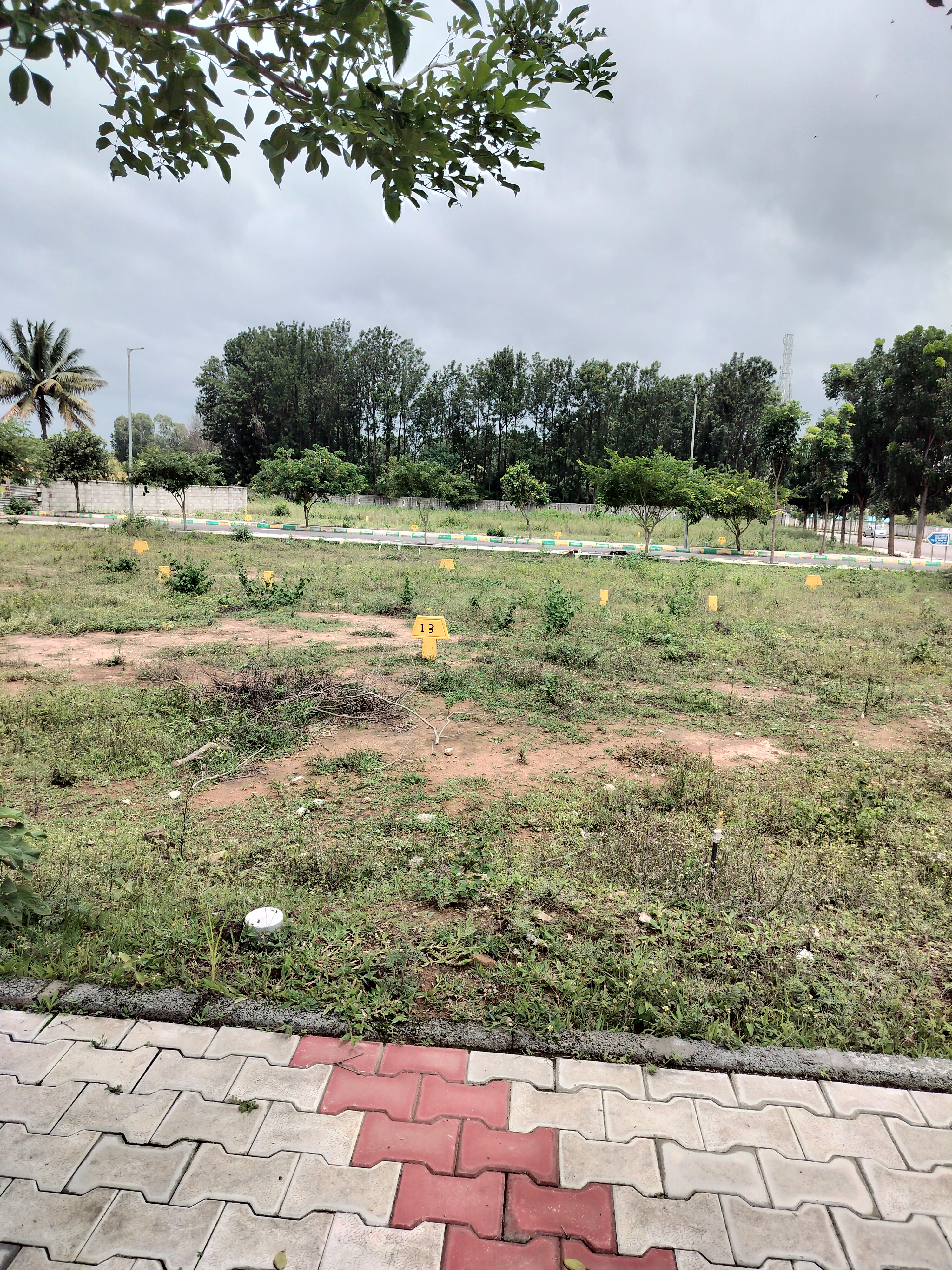 Plot For Resale in Nagashetty Halli Bangalore  7518853