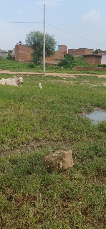 Plot Area in  Plot at Bhopani Village – for Sale