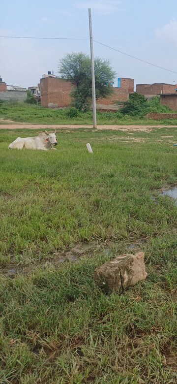 Plot Area in  Plot at Bhopani Village – for Sale