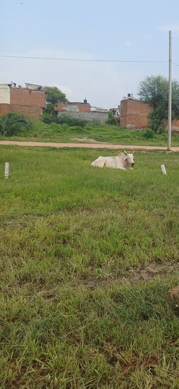 Plot Area in  Plot at Bhopani Village – for Sale