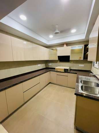 4 BHK Builder Floor For Resale in RWA Saket Block D Saket Delhi  7519105