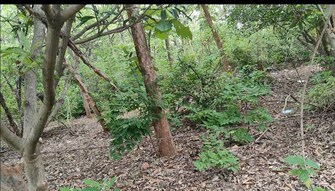 Plot For Resale in L Emerald Ibrahimpatnam Hyderabad  7519177