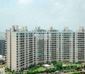 3 BHK Apartment For Resale in Central Park II-Bellevue Sector 48 Gurgaon  7519340