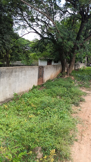 Plot For Resale in Basapura Bangalore  7519383