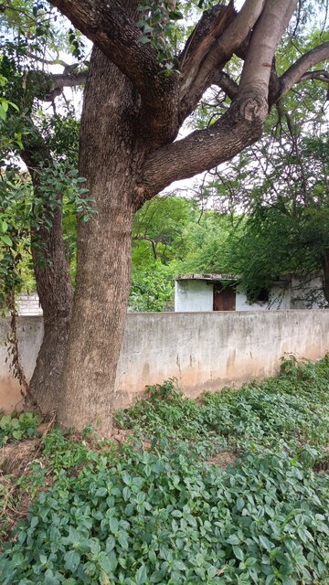 Plot Area in  Plot at Basapura – for Sale