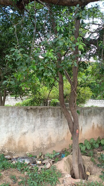 Plot Area in  Plot at Basapura – for Sale