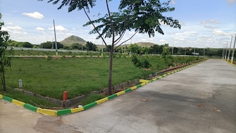 Plot For Resale in Jeevan Sagar Township Bagepalli Bangalore  7519574