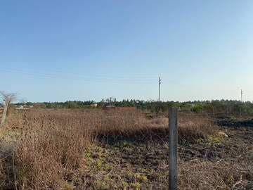 Plot Area in  Plot at Alibag – for Sale