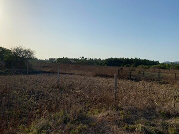 Plot Area in  Plot at Alibag – for Sale