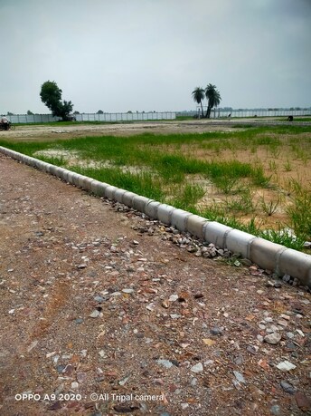 Plot For Resale in Jewar Greater Noida  7519606