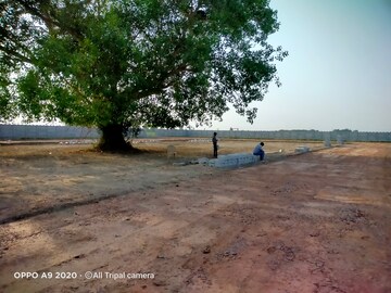 Plot Area in  Plot at Jewar – for Sale