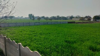 Plot For Resale in Future World Yamuna Expressway Atta Gujran Greater Noida  7519788