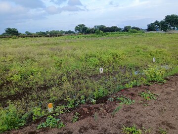 Plot Area in  Plot at Pathardi – for Sale