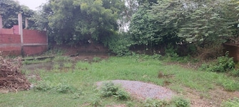 Plot For Rent in Indira Nagar Lucknow  7520384