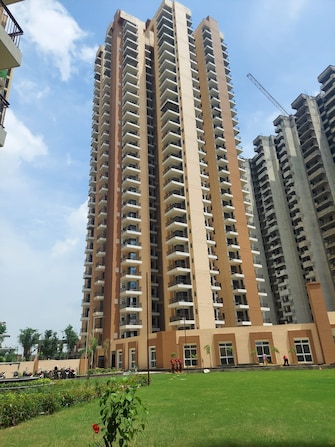 2 BHK Apartment For Resale in RG Luxury Homes Noida Ext Sector 16b Greater Noida  7520539