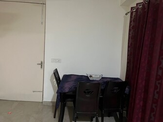 1 BHK Apartment For Rent in Eros Sampoornam Sector 2 Greater Noida Greater Noida  7521015