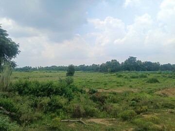 Plot Area in  Plot at Kisan Path – for Sale