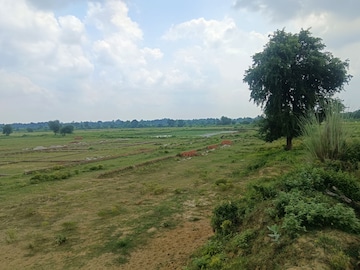 Plot Area in  Plot at Kisan Path – for Sale