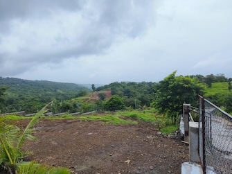 Plot For Resale in Sarvoday Nagar Pali  7517833