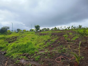 Plot For Resale in Sarvoday Nagar Pali  7517833