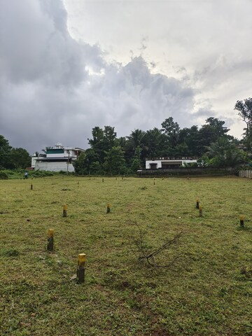 Plot Area in  Plot at Olavakode – for Sale