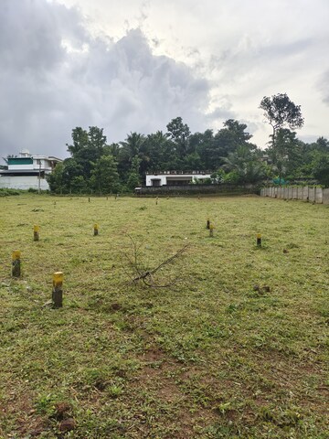 Plot Area in  Plot at Olavakode – for Sale