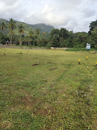 Plot For Resale in Olavakode Palakkad  7521508