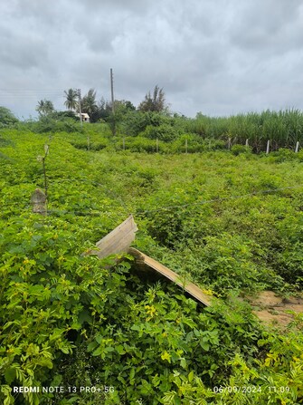 Plot For Resale in Dhamani Road Sangli  7521759