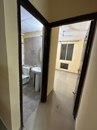 2 BHK Apartment For Rent in Assotech The Nest Sain Vihar Ghaziabad  7521808