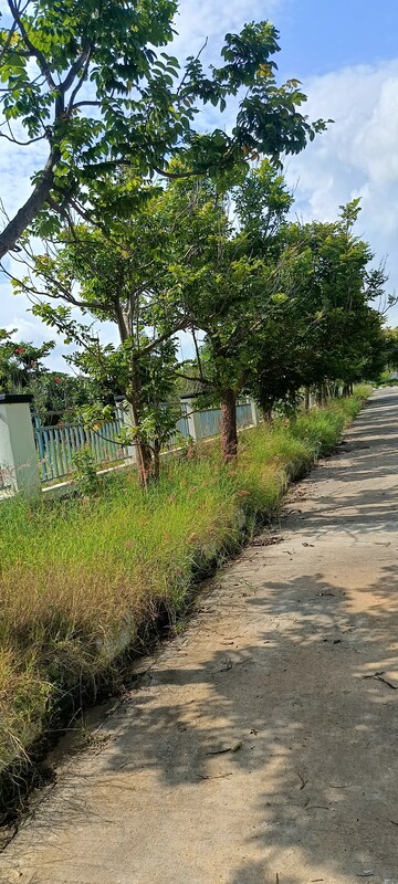  Plot – Garden View at Kongara Kalan - for Sale