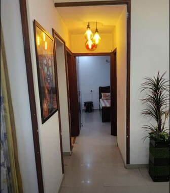 2 BHK Apartment For Rent in NK Savitry Enclave Vip Road Zirakpur  7522006