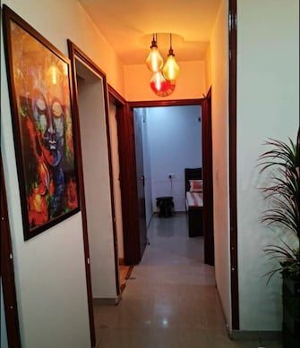 2 BHK Apartment For Rent in NK Savitry Enclave Vip Road Zirakpur  7522006